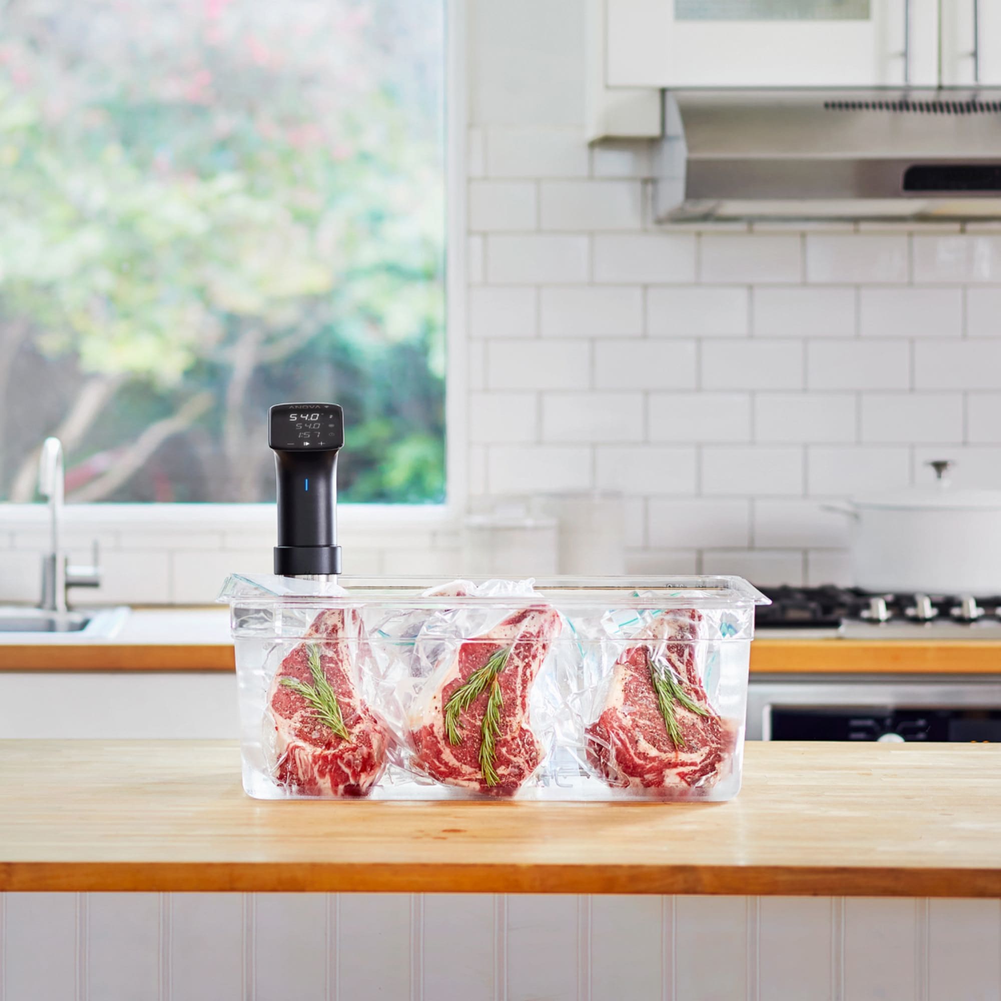 Anova Precision Cooker PRO | Kitchen Warehouse